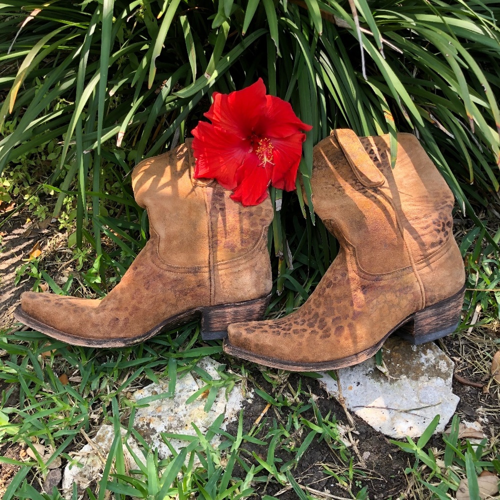 Old Gringo Leopardito Suede Booties Boots size 6b
